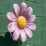 Imagination Kingdom By Oc Adventure Homes